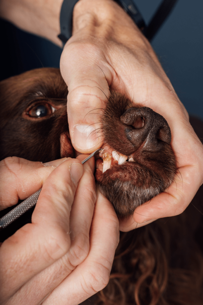 brushing teeth