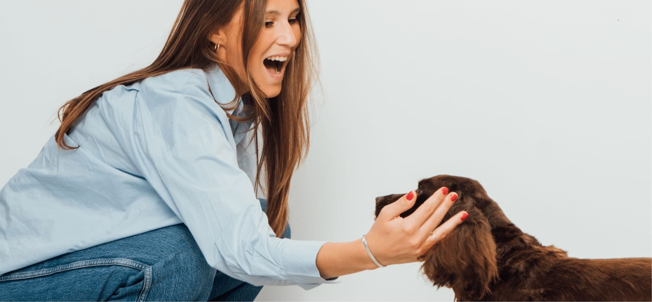 How to Choose the Right Groomer for Your Dog