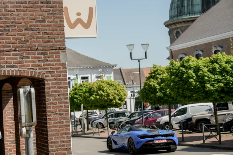 WAMI grooming Waterloo