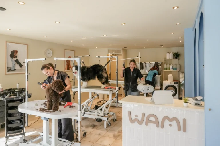 WAMI grooming Waterloo