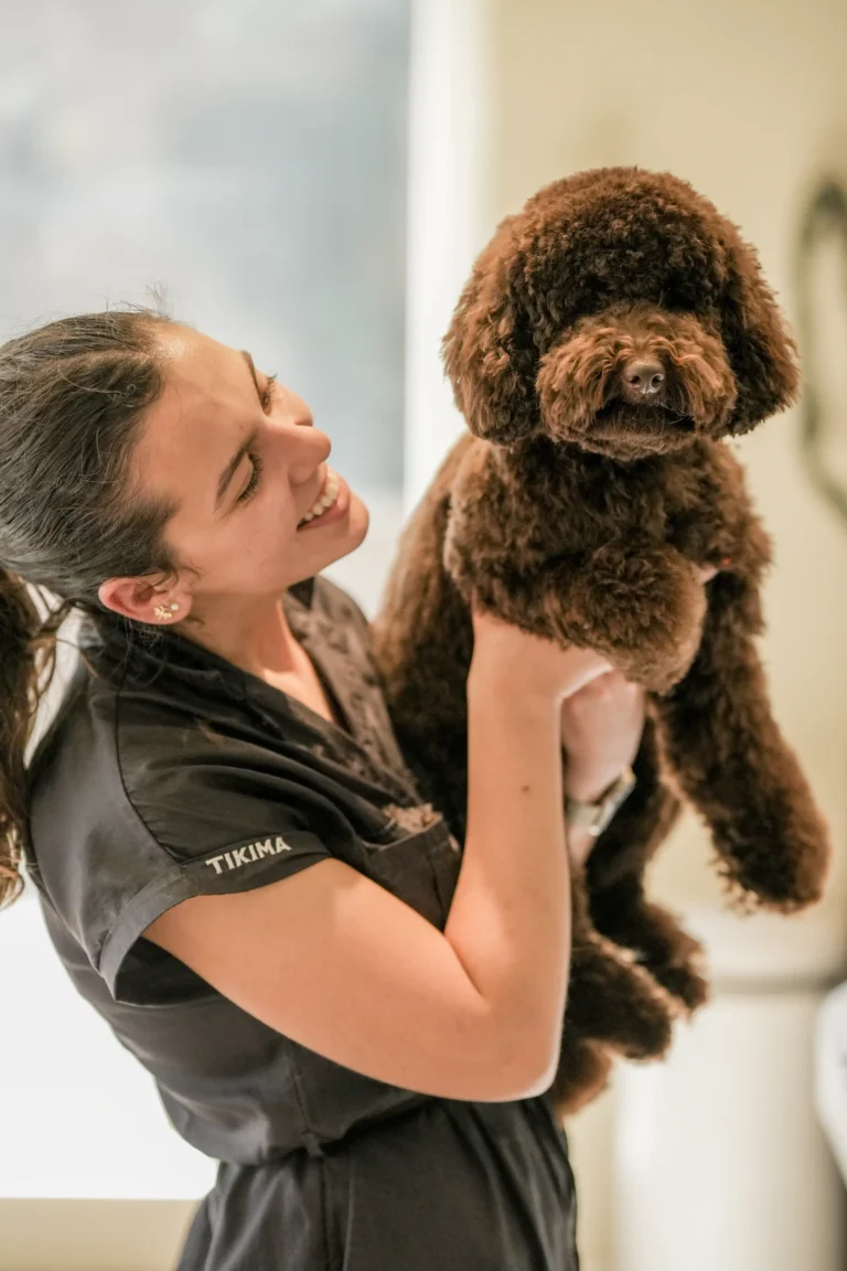 WAMI grooming Waterloo