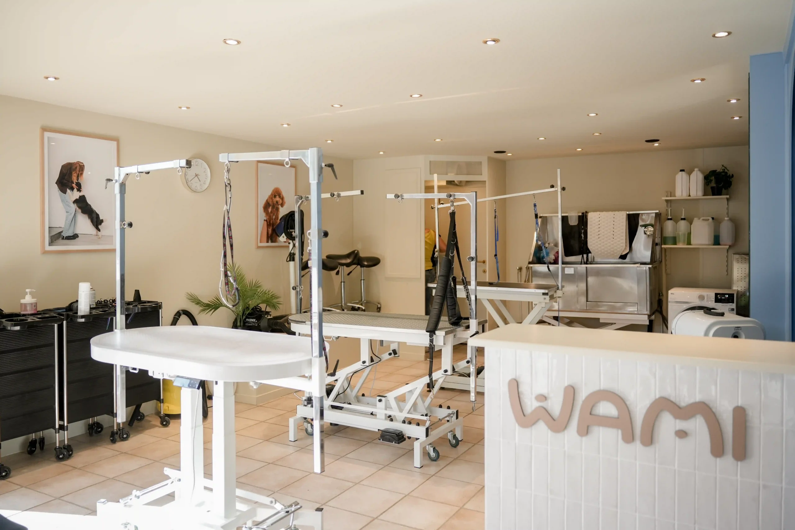 WAMI grooming Waterloo