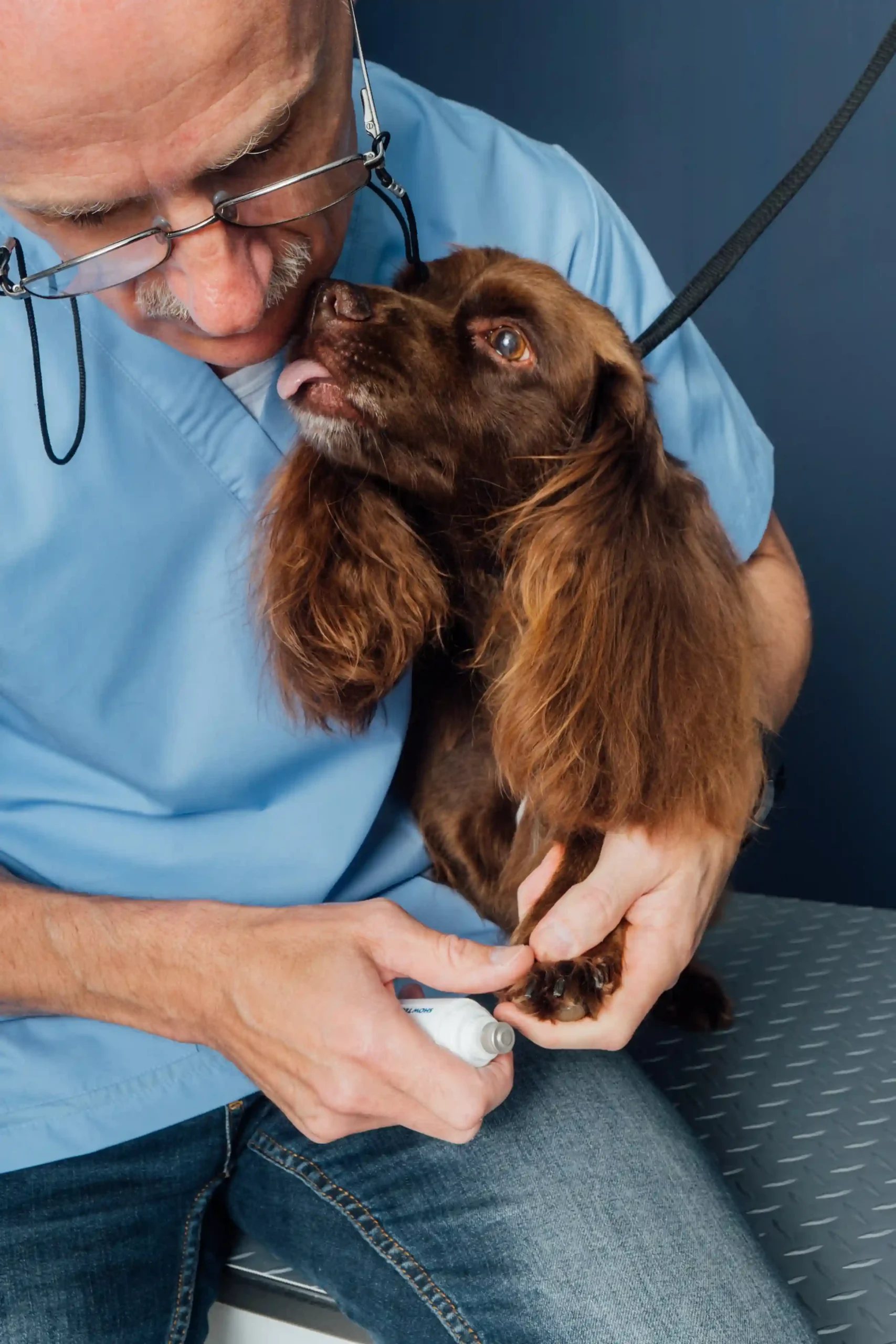 Wami grooming Ekeren