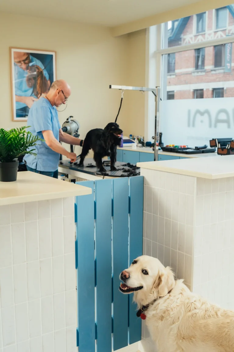 Wami grooming Ekeren