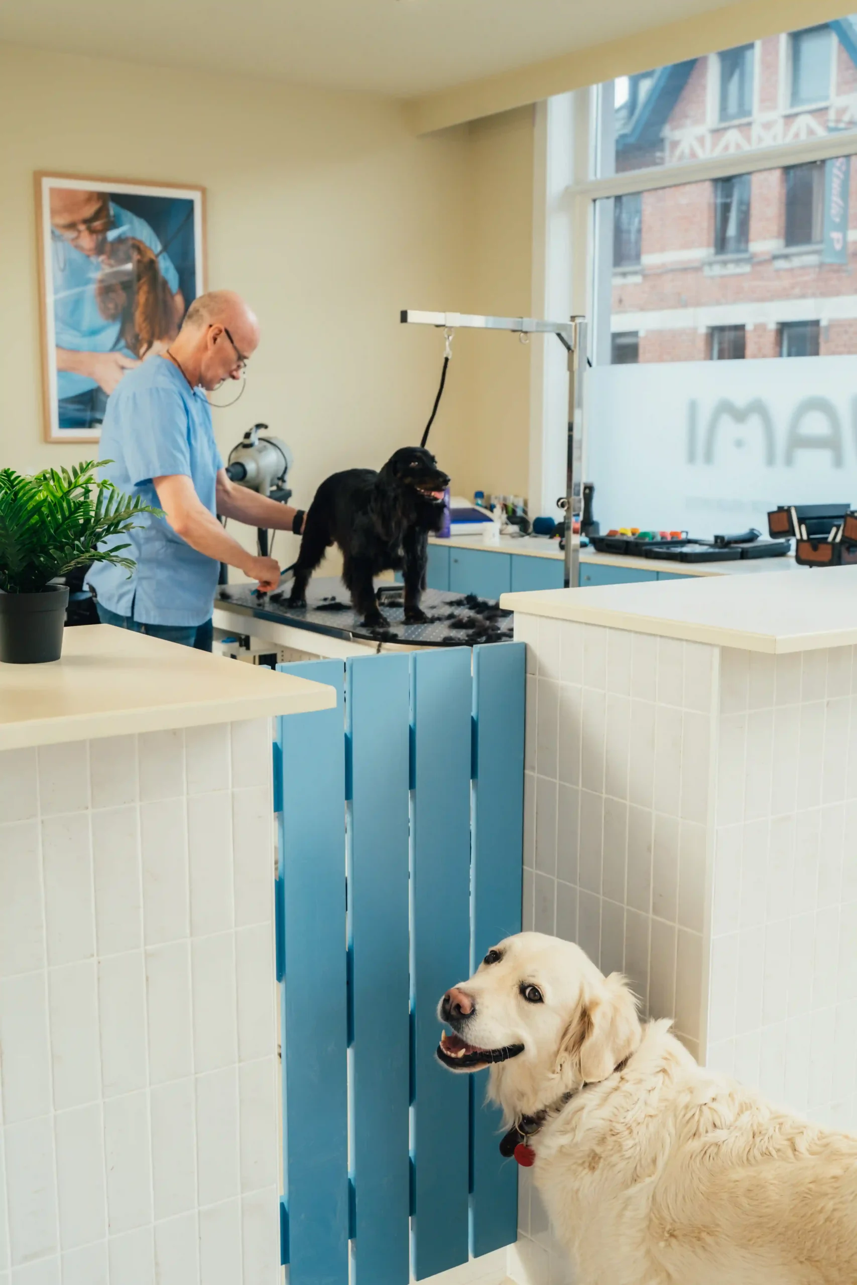 Wami grooming Ekeren