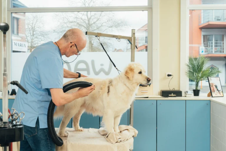 Wami grooming Ekeren