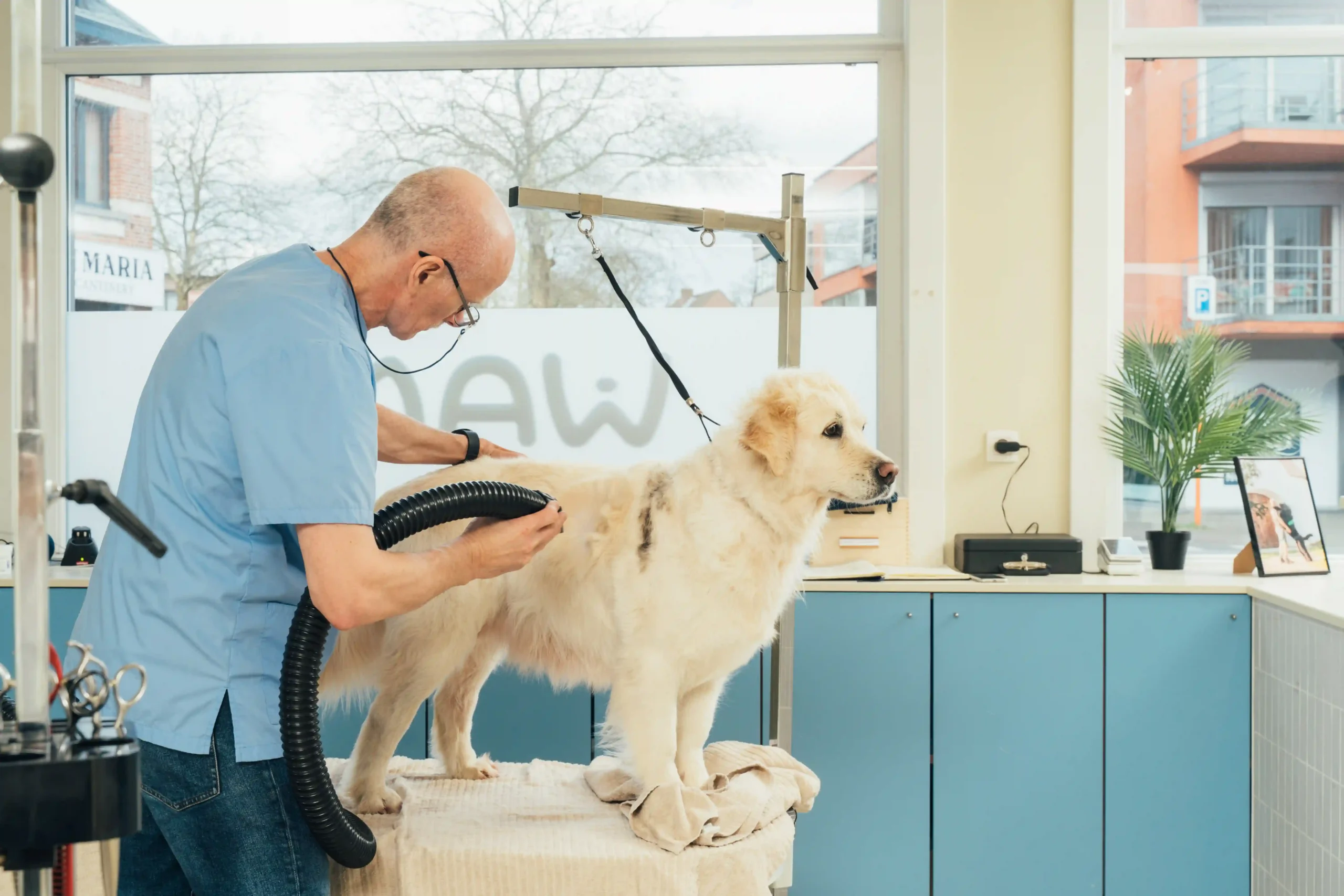 Wami grooming Ekeren