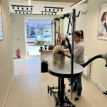 Bichon, Shih Tzu or Yorkshire: how to groom a small long-haired dog in Brussels