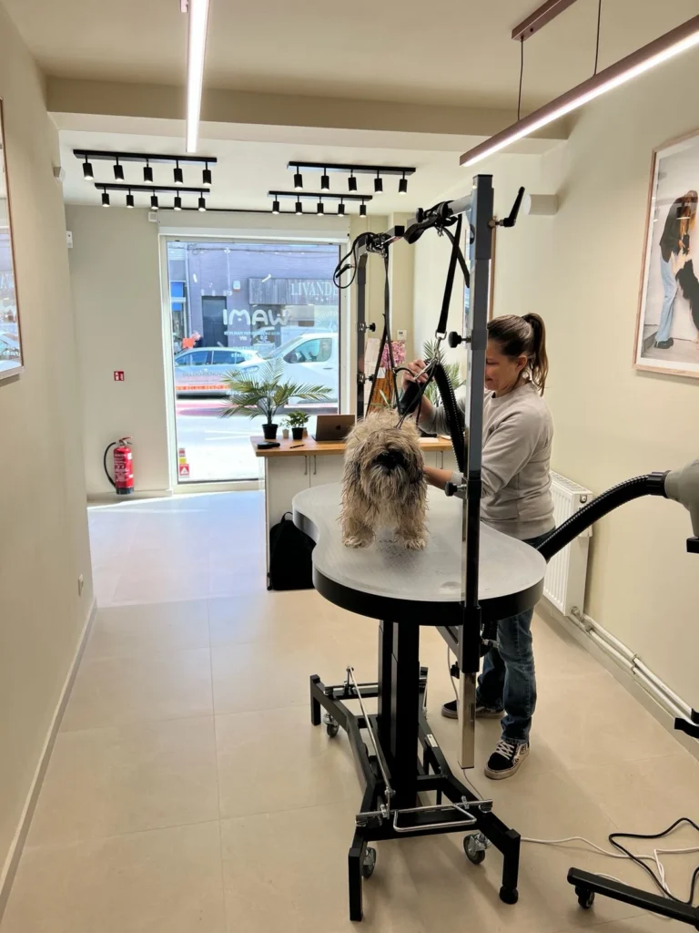WAMI grooming Uccle